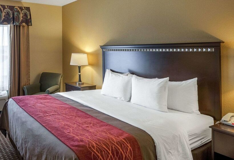 בית מלון כפרי Comfort Inn & Suites Regional Medical Center