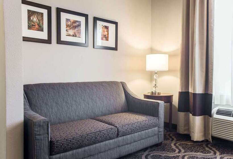 호텔 Comfort Suites Pineville  Ballantyne Area