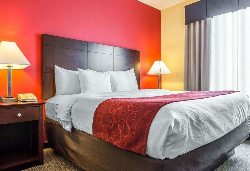 בית מלון כפרי Comfort Suites Rock Hill Manchester Meadows Area