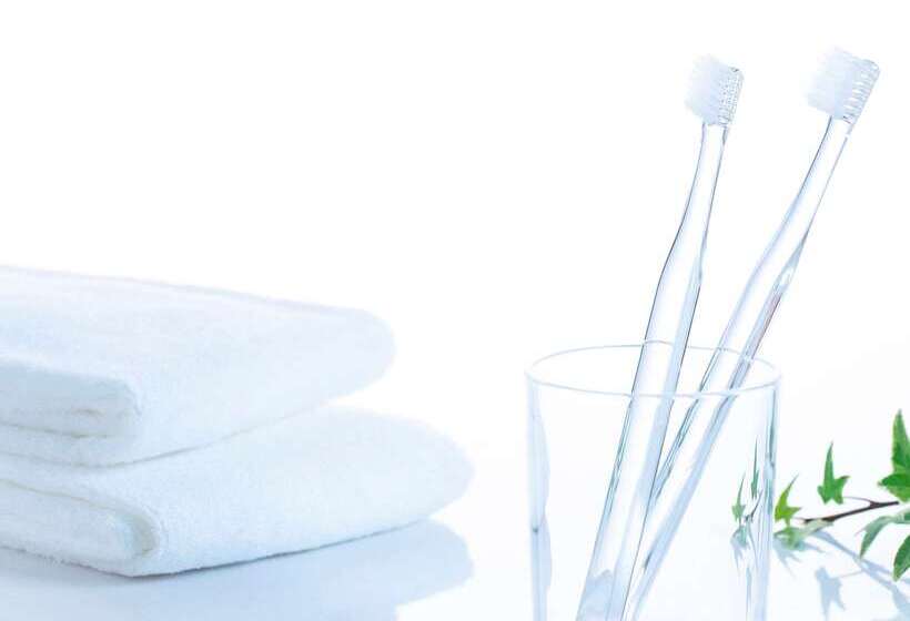 Comfort Hotel Tomakomai