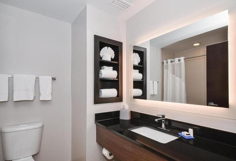 ホテル Holiday Inn Express Charlotte Southeast   Matthews, An Ihg