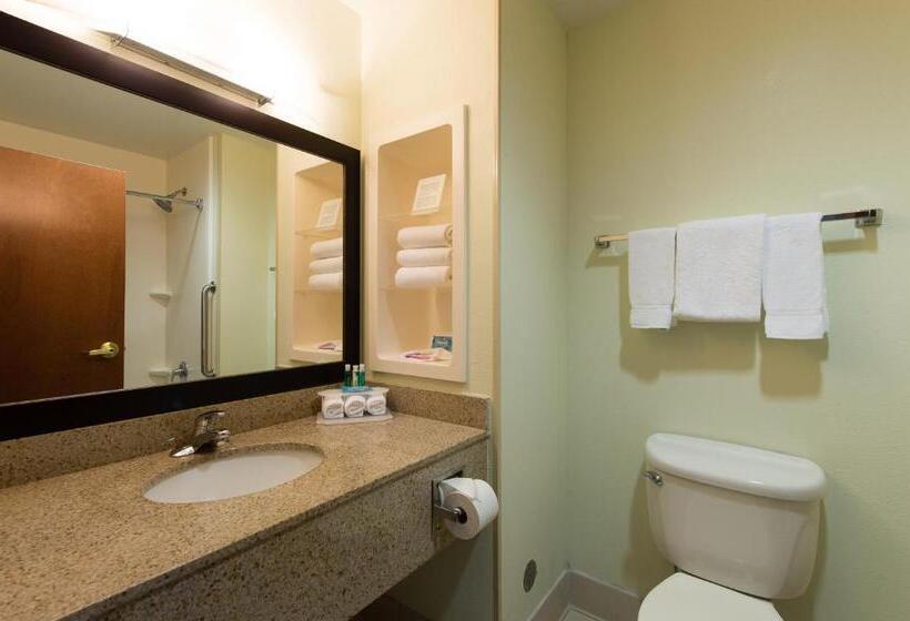 酒店 Holiday Inn Exp Walterboro By Ihg