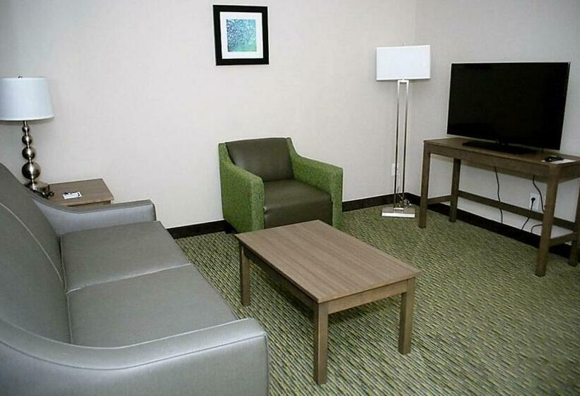 Holiday Inn Express Hotel And Suites Port Aransas/beach Area, An Ihg