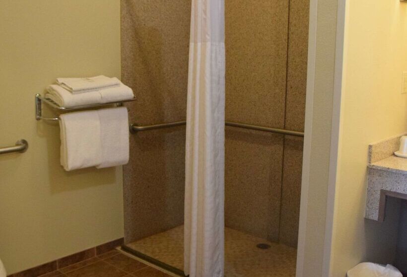 فندق Best Western Dothan Inn & Suites