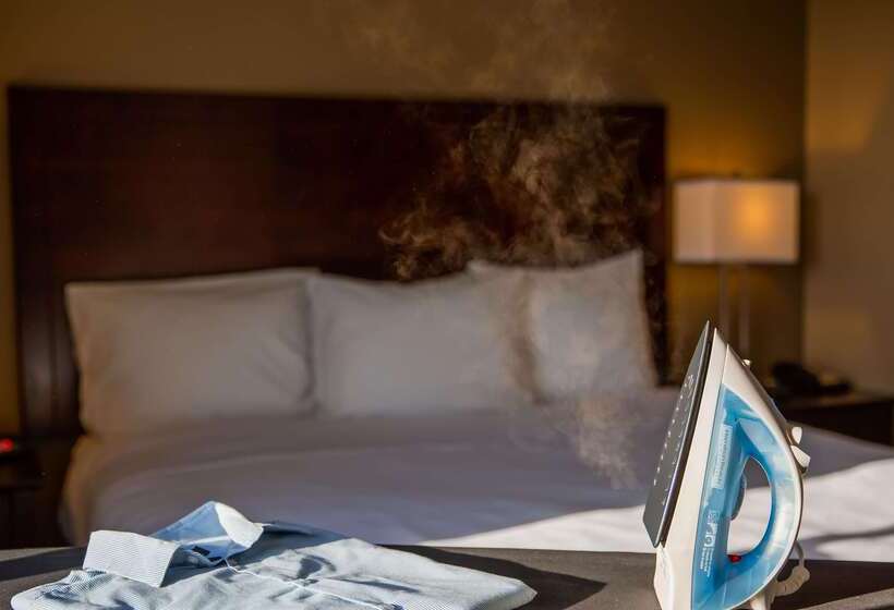 فندق Best Western Dothan Inn & Suites