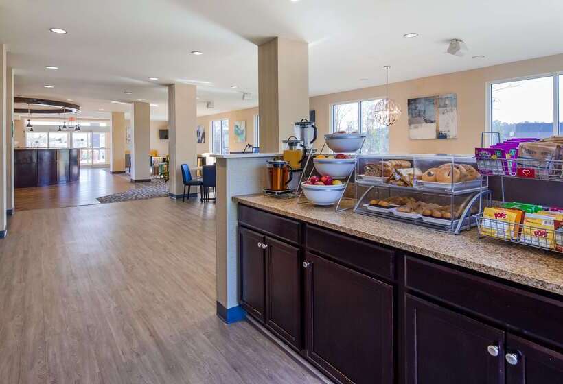 فندق Best Western Dothan Inn & Suites