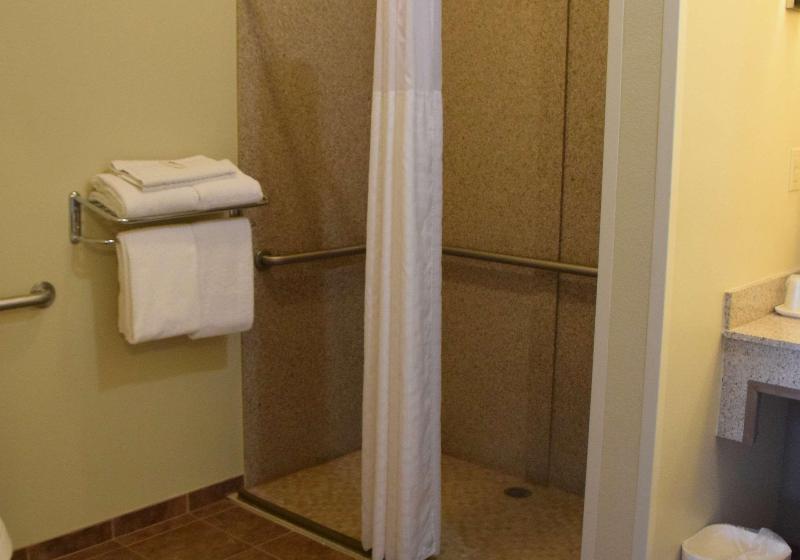فندق Best Western Dothan Inn & Suites
