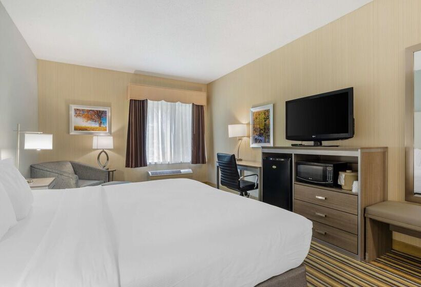 בית מלון כפרי Best Western Plus New England Inn & Suites