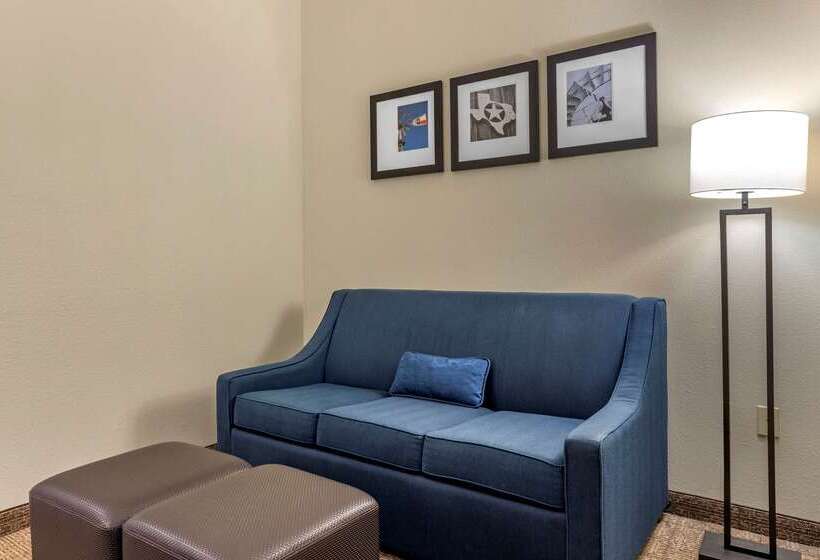 酒店 Comfort Inn & Suites Paris