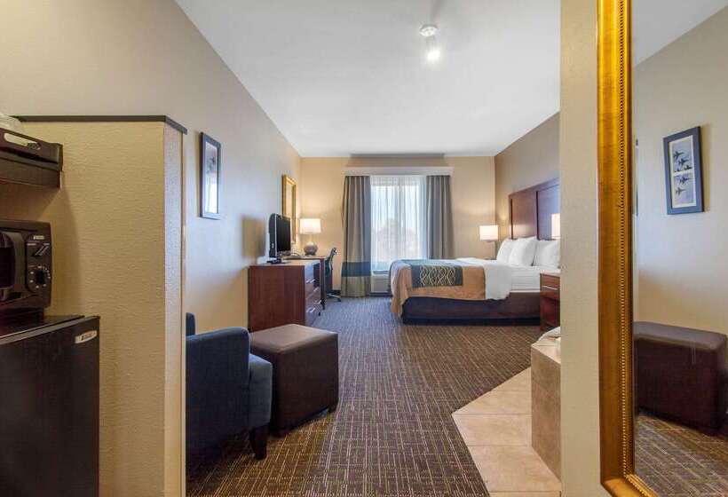 בית מלון כפרי Comfort Inn & Suites Norman Near University