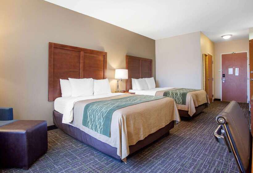 בית מלון כפרי Comfort Inn & Suites Norman Near University