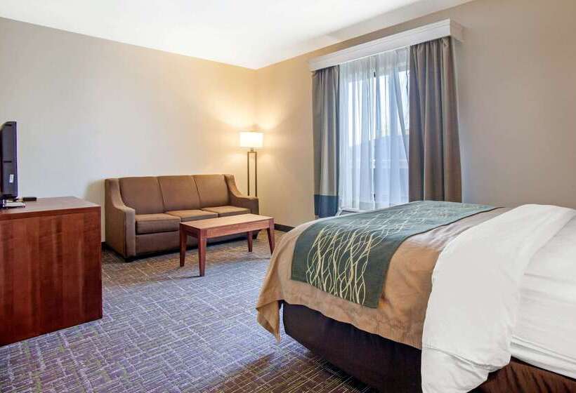 בית מלון כפרי Comfort Inn & Suites Norman Near University