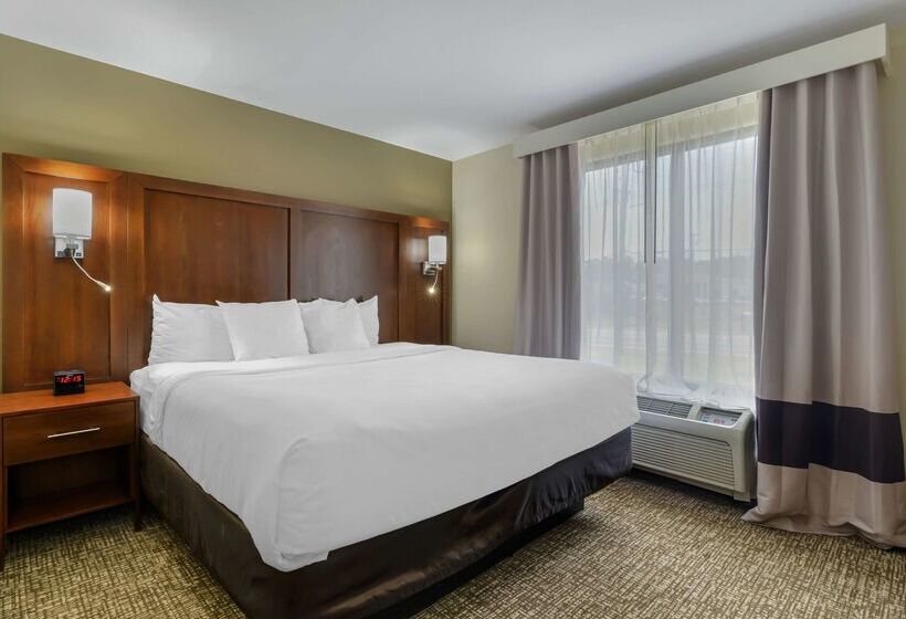 هتل Comfort Suites At Kennesaw State University