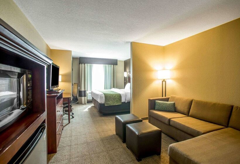 هتل Comfort Suites Columbia  University Area