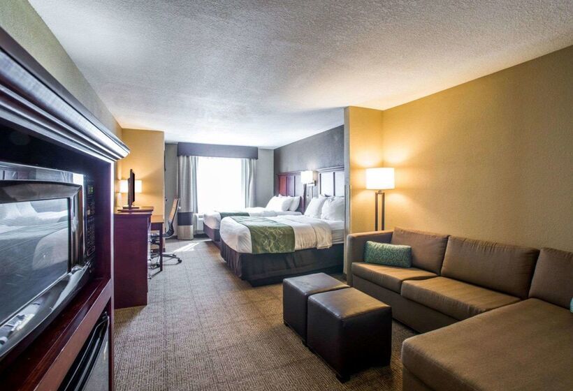 هتل Comfort Suites Columbia  University Area