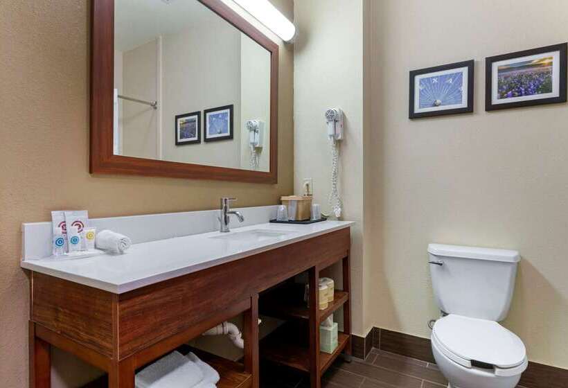 호텔 Comfort Suites Gainesville