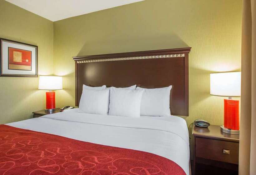 בית מלון כפרי Comfort Suites Locust Grove Atlanta South