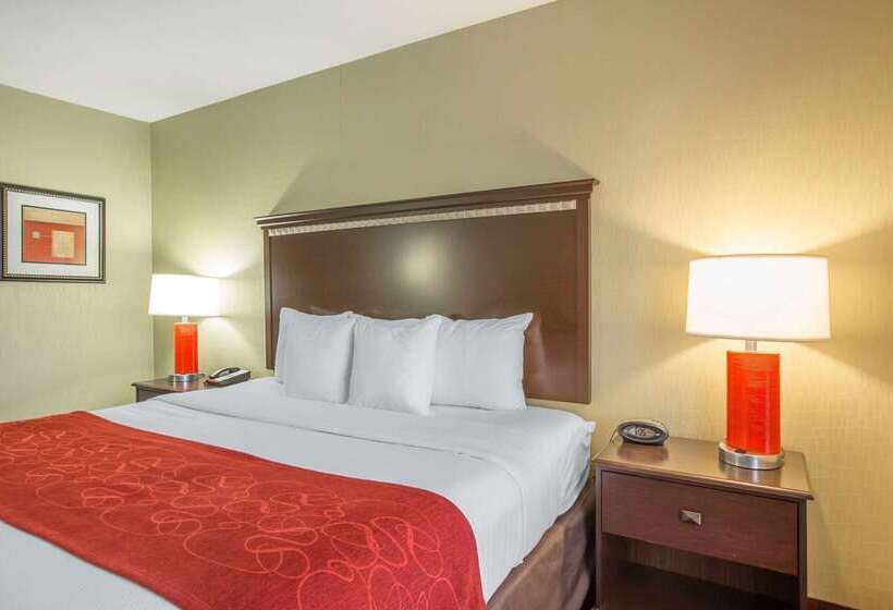 בית מלון כפרי Comfort Suites Locust Grove Atlanta South