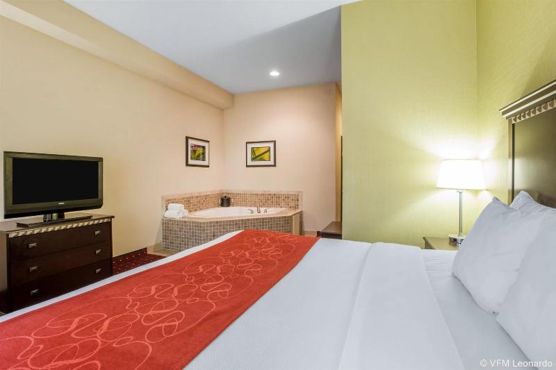 בית מלון כפרי Comfort Suites Locust Grove Atlanta South
