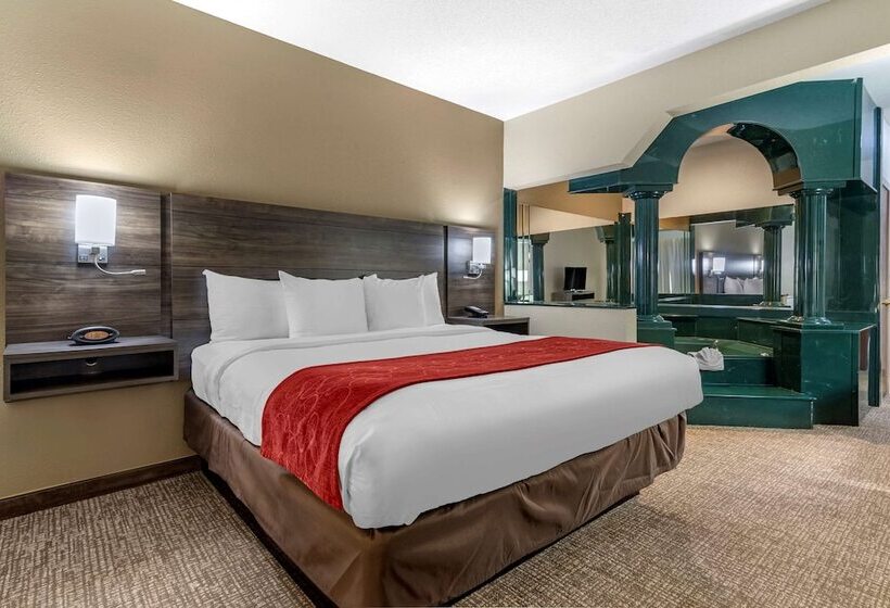 هتل Comfort Suites Near Robins Air Force Base