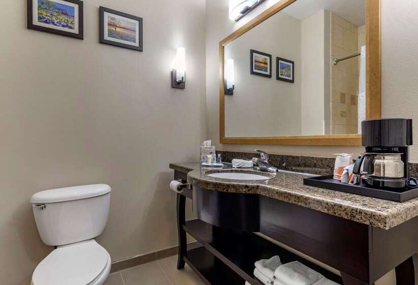 בית מלון כפרי Comfort Suites Plano   Dallas North