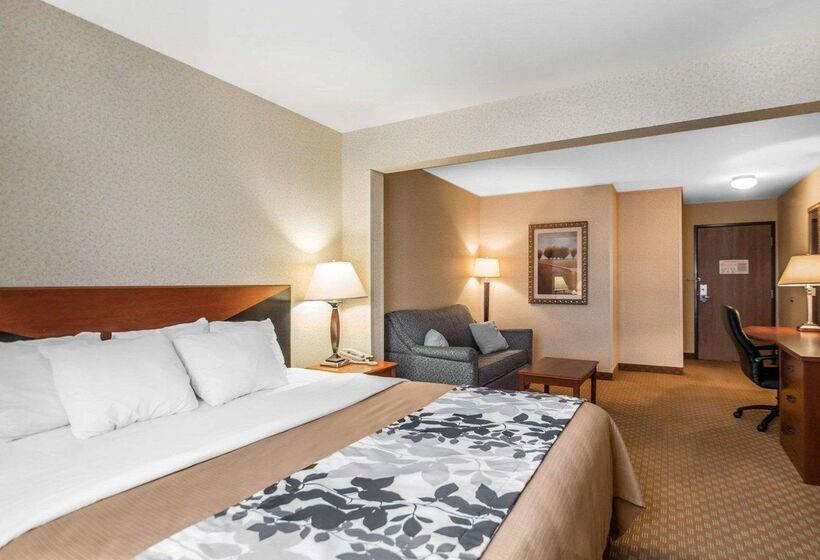 هتل Rodeway Inn & Suites