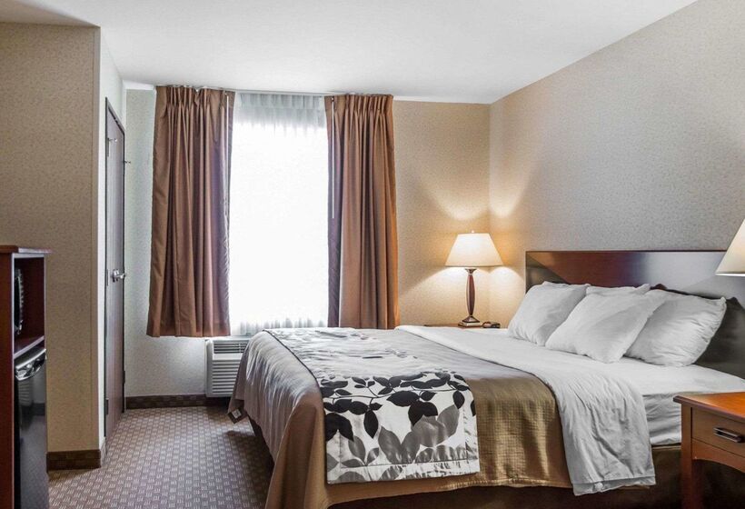 هتل Rodeway Inn & Suites