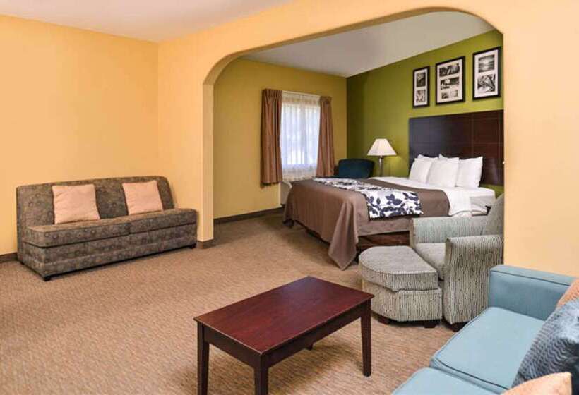 هتل Sleep Inn And Suites Downtown Houston