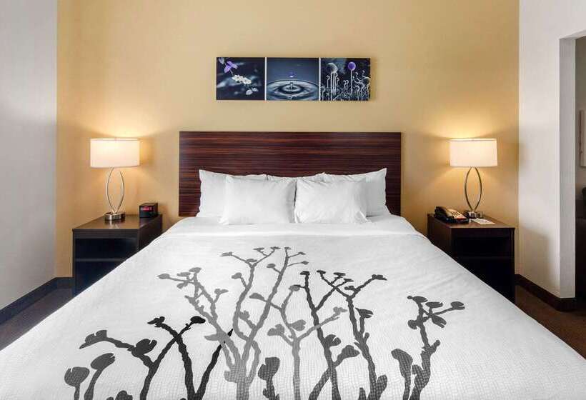 בית מלון כפרי Sleep Inn & Suites Norman Near University
