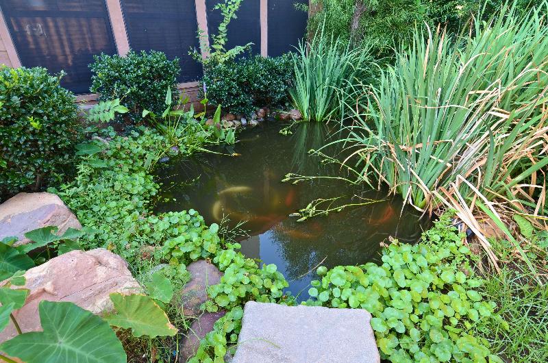 호텔 Best Western Dinosaur Valley Inn & Suites