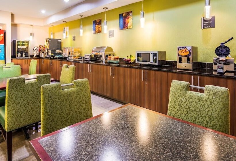 Отель Best Western Executive Inn