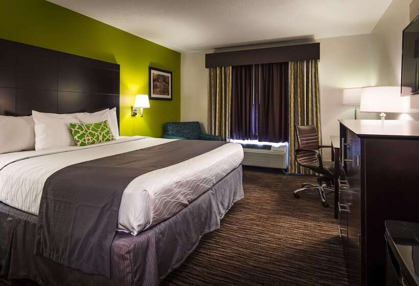 فندق Best Western Magnolia Inn And Suites