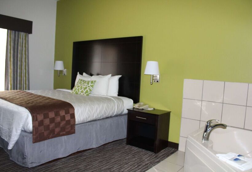 فندق Best Western Magnolia Inn And Suites