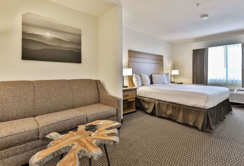 فندق Best Western Mountain View Inn