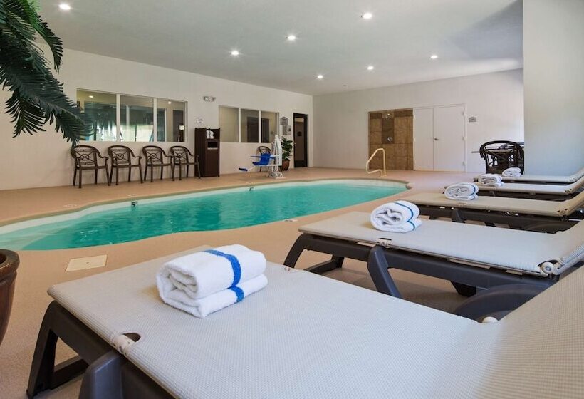 호텔 Best Western Oasis Inn