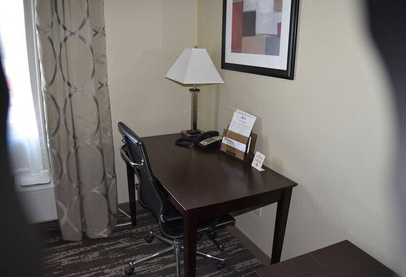 호텔 Best Western Oasis Inn