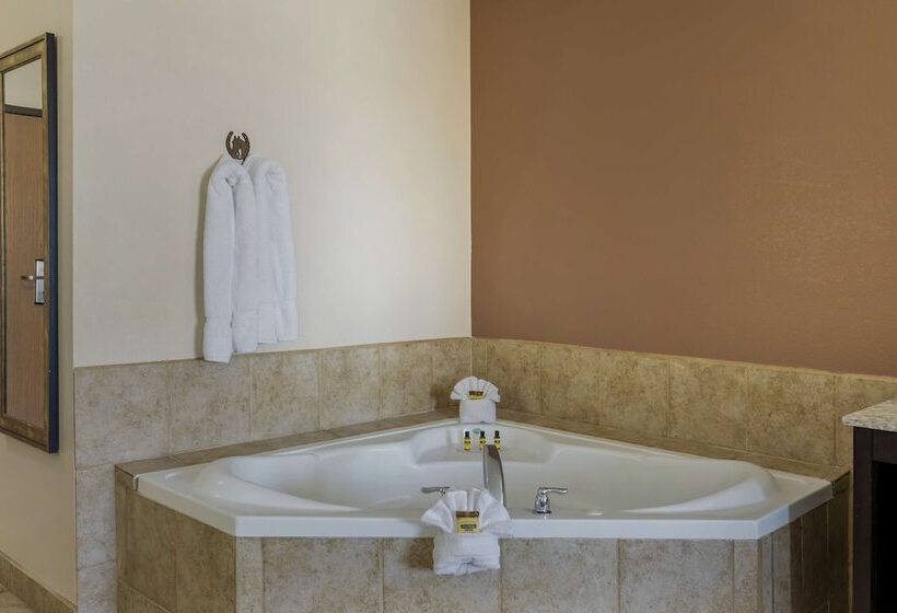 هتل Best Western Plus Country Inn & Suites