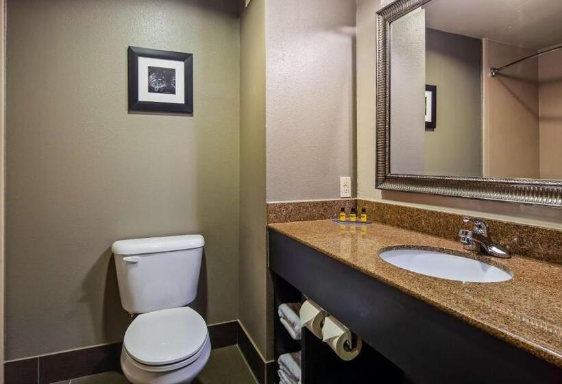ホテル Best Western Plus Midwest City Inn & Suites