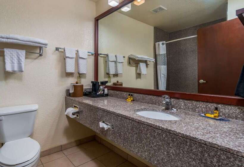 호텔 Best Western Plus Shamrock Inn & Suites