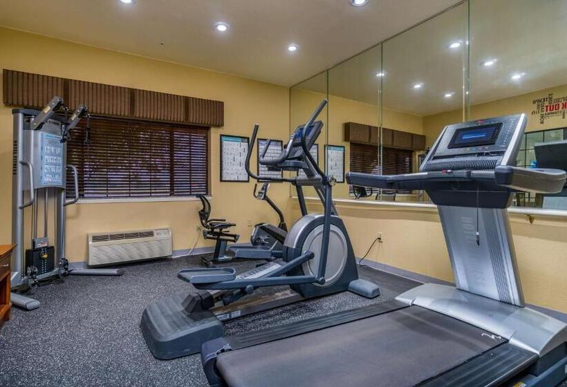 호텔 Best Western Plus Shamrock Inn & Suites