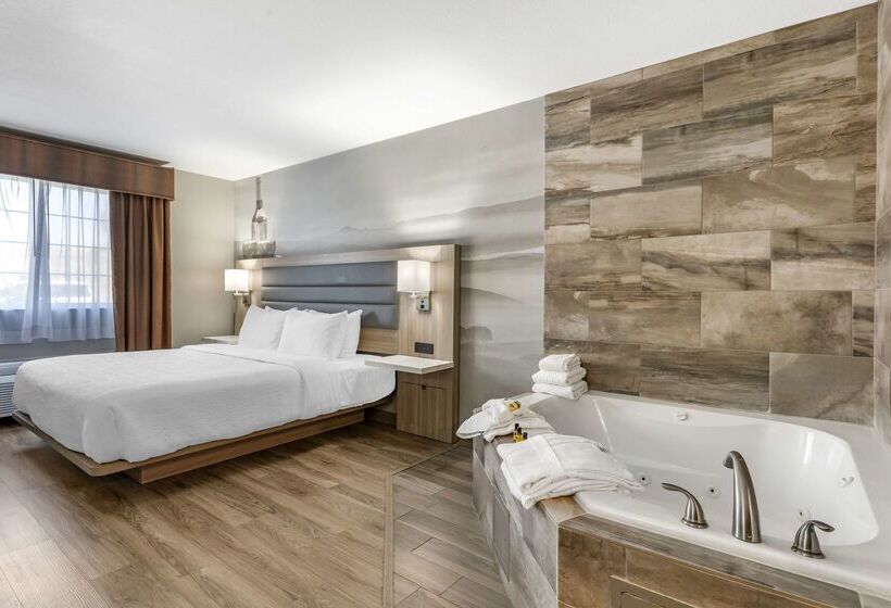 酒店 Best Western Plus Vineyard Inn