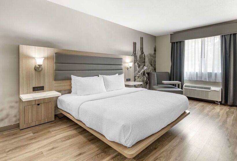 酒店 Best Western Plus Vineyard Inn