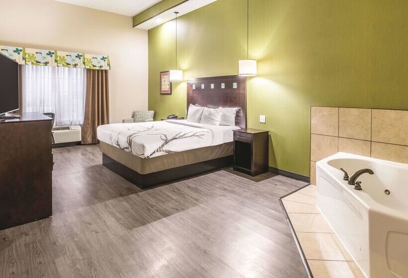 בית מלון כפרי La Quinta By Wyndham Dallas Grand Prairie South