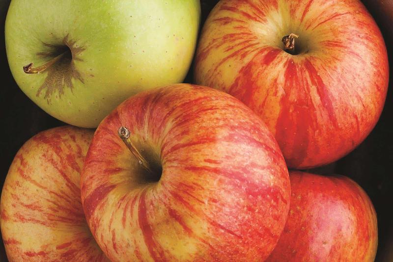 בית מלון כפרי La Quinta By Wyndham Dallas Grand Prairie South