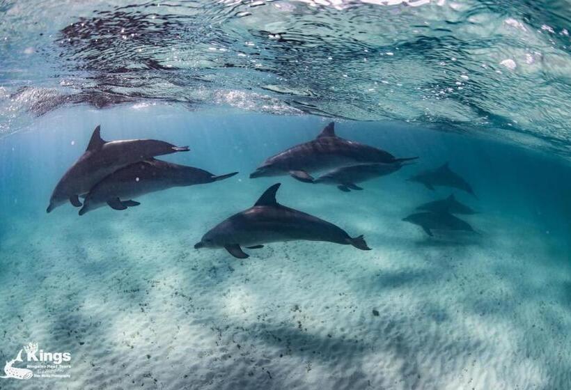 هتل Ningaloo Lodge Exmouth