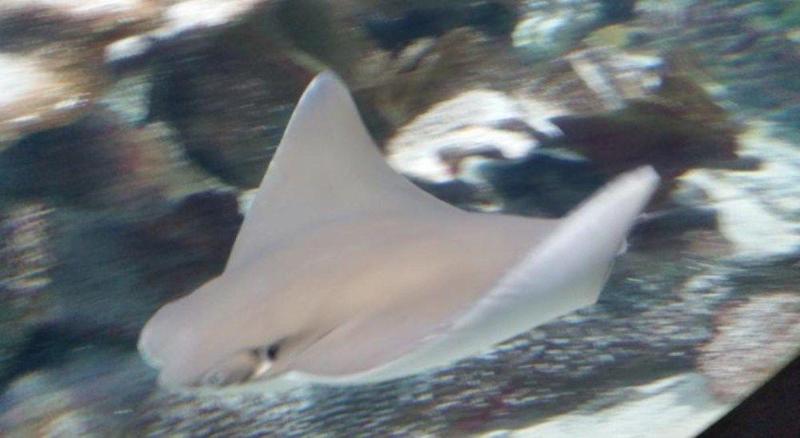 هتل Ningaloo Lodge Exmouth