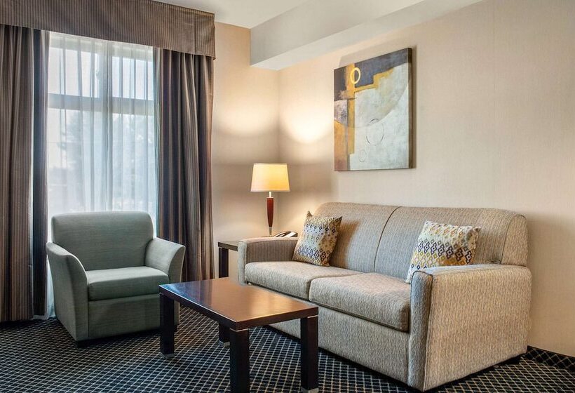 فندق Quality Inn & Suites