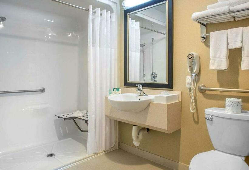 فندق Quality Inn & Suites