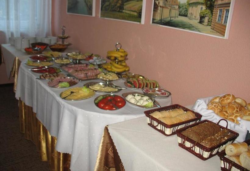 בית מלון כפרי Salin