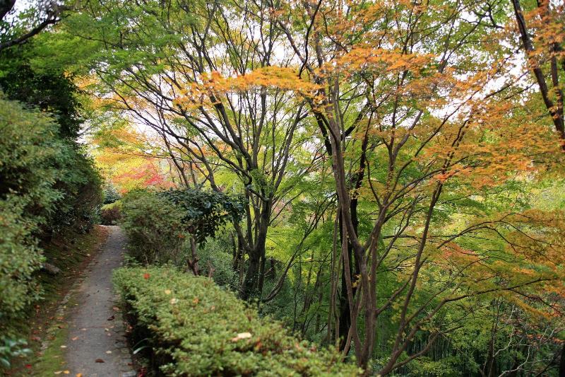 酒店 Chikurinin Gunpoen